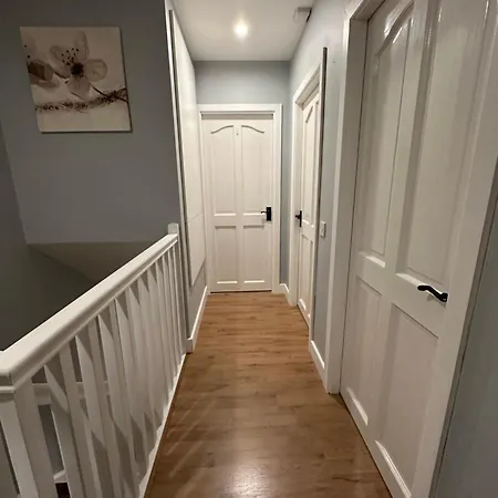Homestay Blush Jungle - Dublin