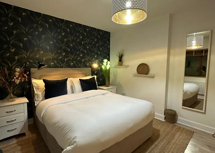 Blush Jungle - Dublino