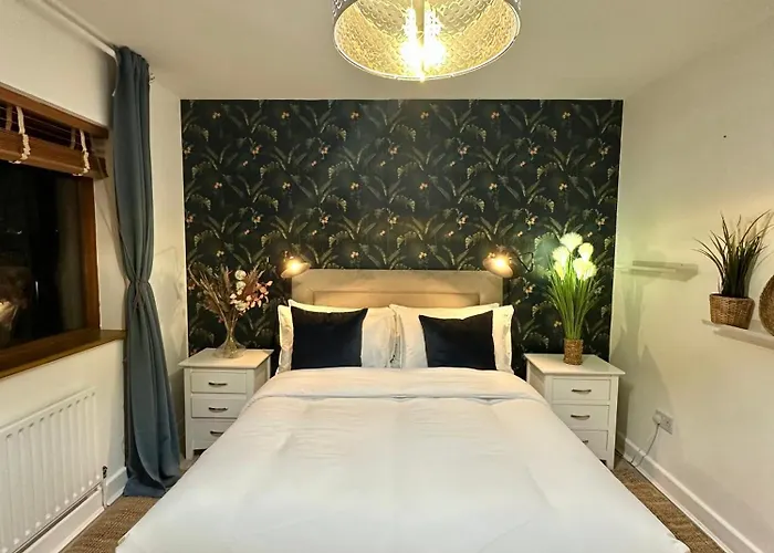 民宿 Blush Jungle - 都柏林