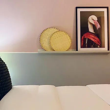 Blush Jungle - Homestay Dublin