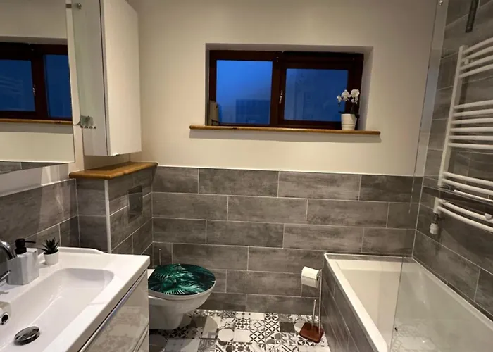 Blush Jungle - * 더블린